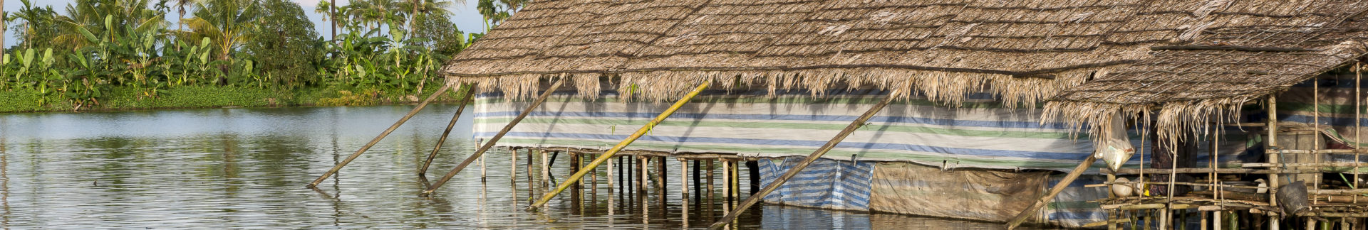 Supporting Flood-Based Farming Systems (FBFS) in the Ayeyerwady Delta